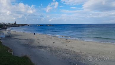 Impiegato d'ufficio - Supporto al Cliente