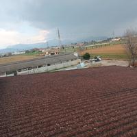 lastre ondulate in vetro resina