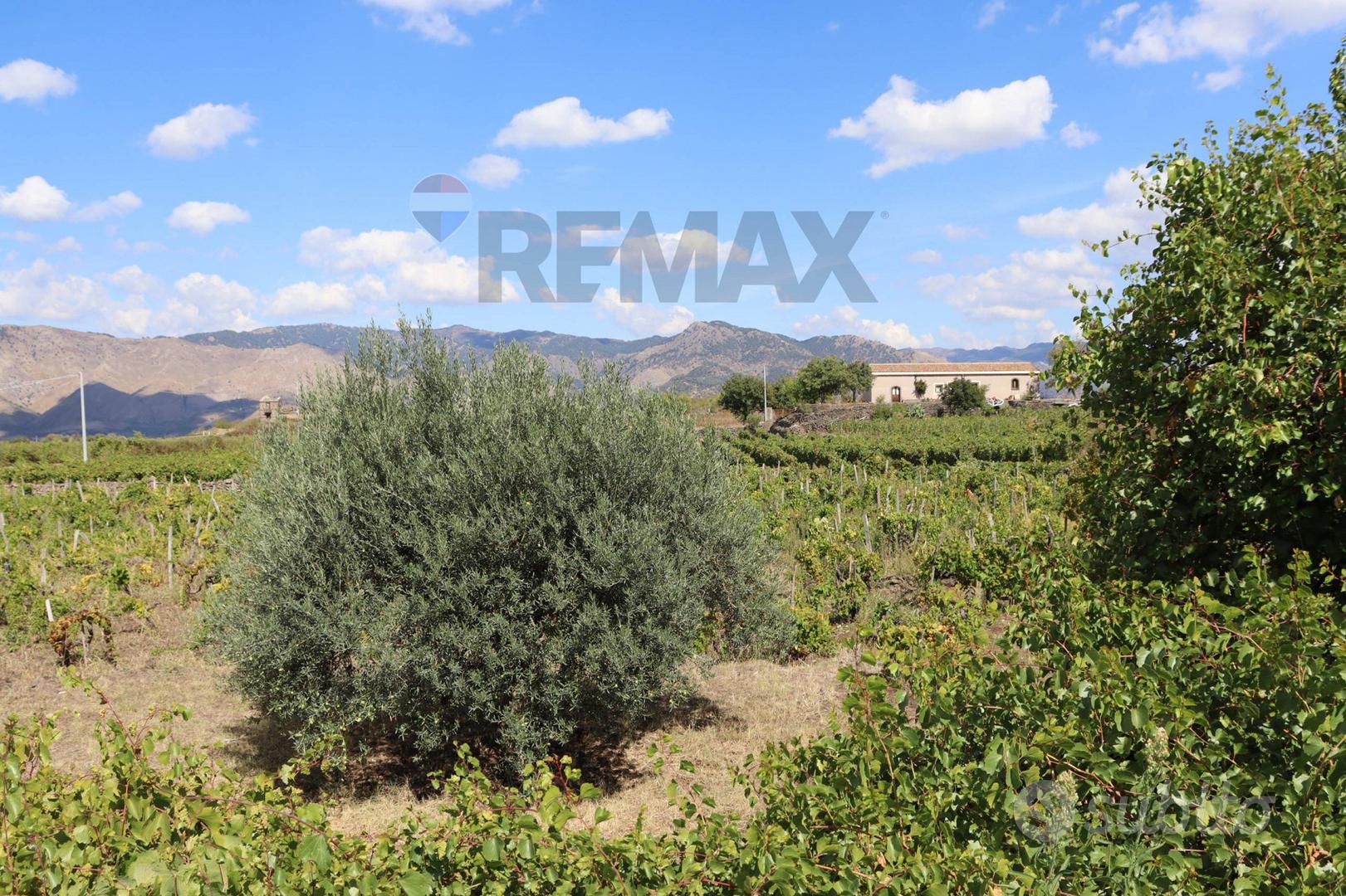 Terreno - Castiglione di Sicilia - Vista 5