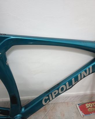Cipollini