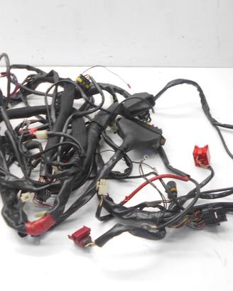 MALAGUTI SPIDERMAX GT 500 CAVI MATASSA IMPIANTO EL