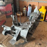 carter minarelli verticale