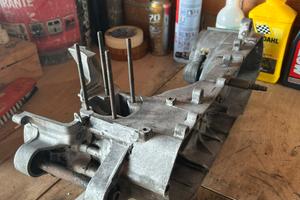 carter minarelli verticale