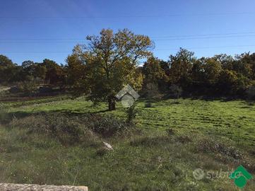TER. AGRICOLO A SANTERAMO IN COLLE