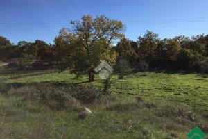 TER. AGRICOLO A SANTERAMO IN COLLE
