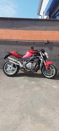 Brutale 910
