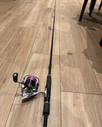 13 fishing + daiwa