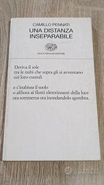 Camillo Pennati Una distanza inseparabile Einaudi 