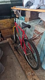 Bici mtb