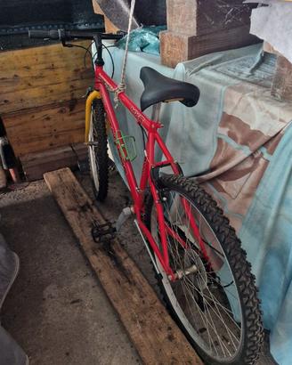 Bici mtb