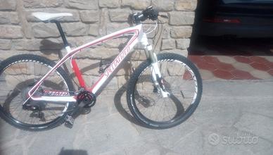 Mtb in carbonio 