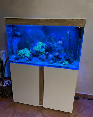 Acquario askol 200lt
