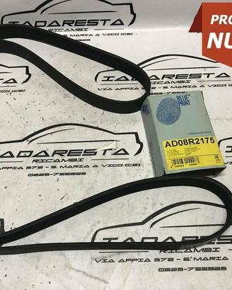 Cinghia Alternatore Grand Cherokee 2.5 D 4883445AA