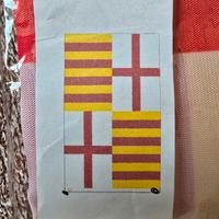 Bandiera Barcellona