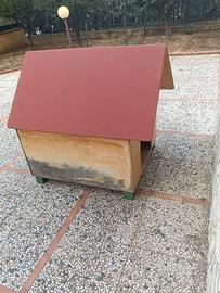 cuccia cane
