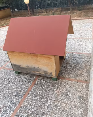 cuccia cane