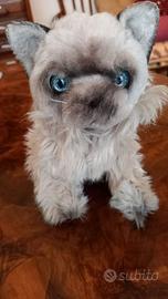 gatto di peluche