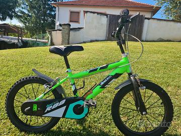 bicicletta 16 pollici