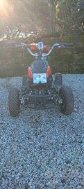 Quad a batteria