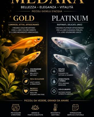 Medaka gold e platinum