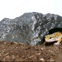 Tana grotta caverna nascondiglio. Spedisco