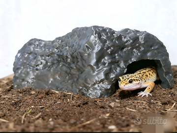Tana grotta caverna nascondiglio. Spedisco
