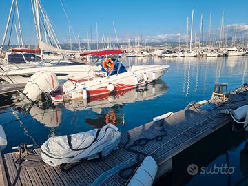 Wellcraft scarab 302 sport