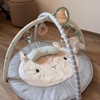 Palestrina neonato Ingenuity pecora