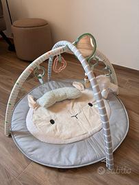 Palestrina neonato Ingenuity pecora