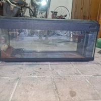 Acquario 100 litri