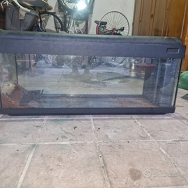 Acquario 100 litri