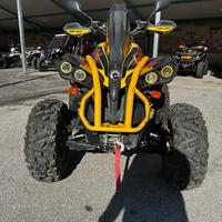 Can am renegade G2 500