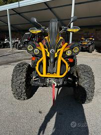 Can am renegade G2 500