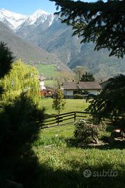 Luminoso appartamento in mezzo al verde