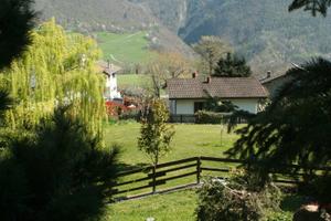 Luminoso appartamento in mezzo al verde