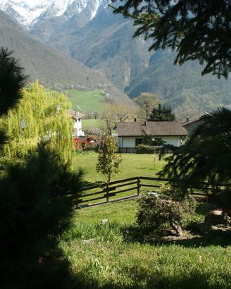 Luminoso appartamento in mezzo al verde