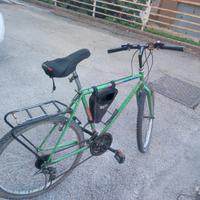 bicicletta Vicini