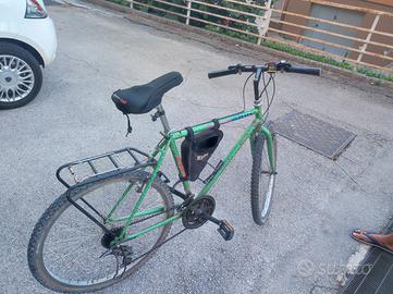 bicicletta Vicini