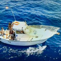 Pilotina Paguro 6,50 mt