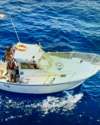 Pilotina Paguro 6,50 mt