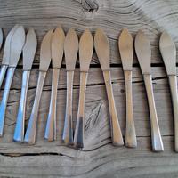 coltelli da pesce inox