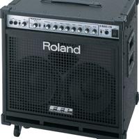 AMPLIFICATORE BASSO ROLAND D-BASS 210 piezo/magnet