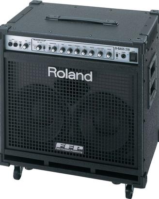 AMPLIFICATORE BASSO ROLAND D-BASS 210 piezo/magnet