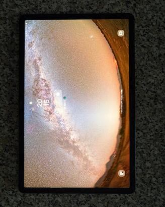 Samsung Galaxy S7 FE 64gb