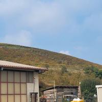 Castel nuovo calcea asti azienda agricola vigne 7