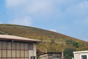 Castel nuovo calcea asti azienda agricola vigne 7