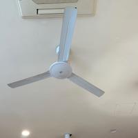 Ventilatore Vortice a soffitto
