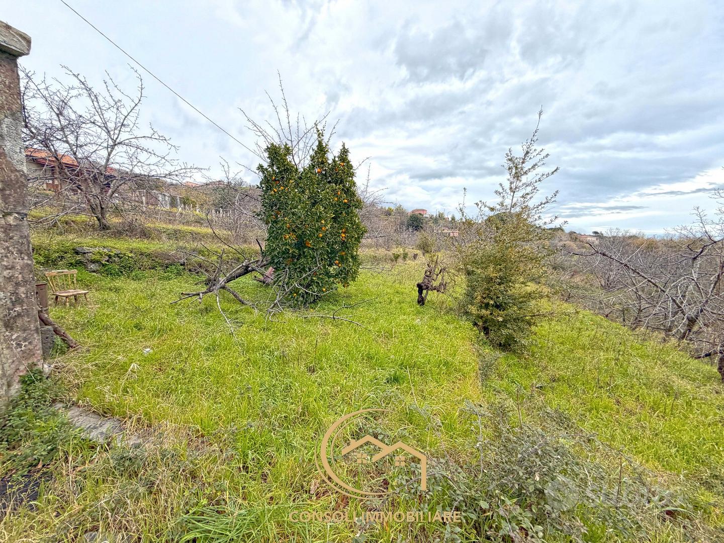 Rustico con terreno - Vista 3