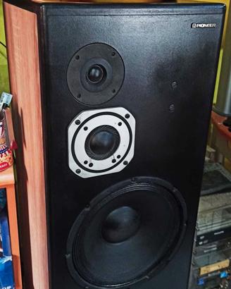 GRANDI diffusori audiophile da pavimento