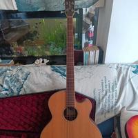 Basso acustico elettrificato chitarra